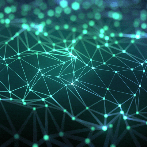 Neural Network